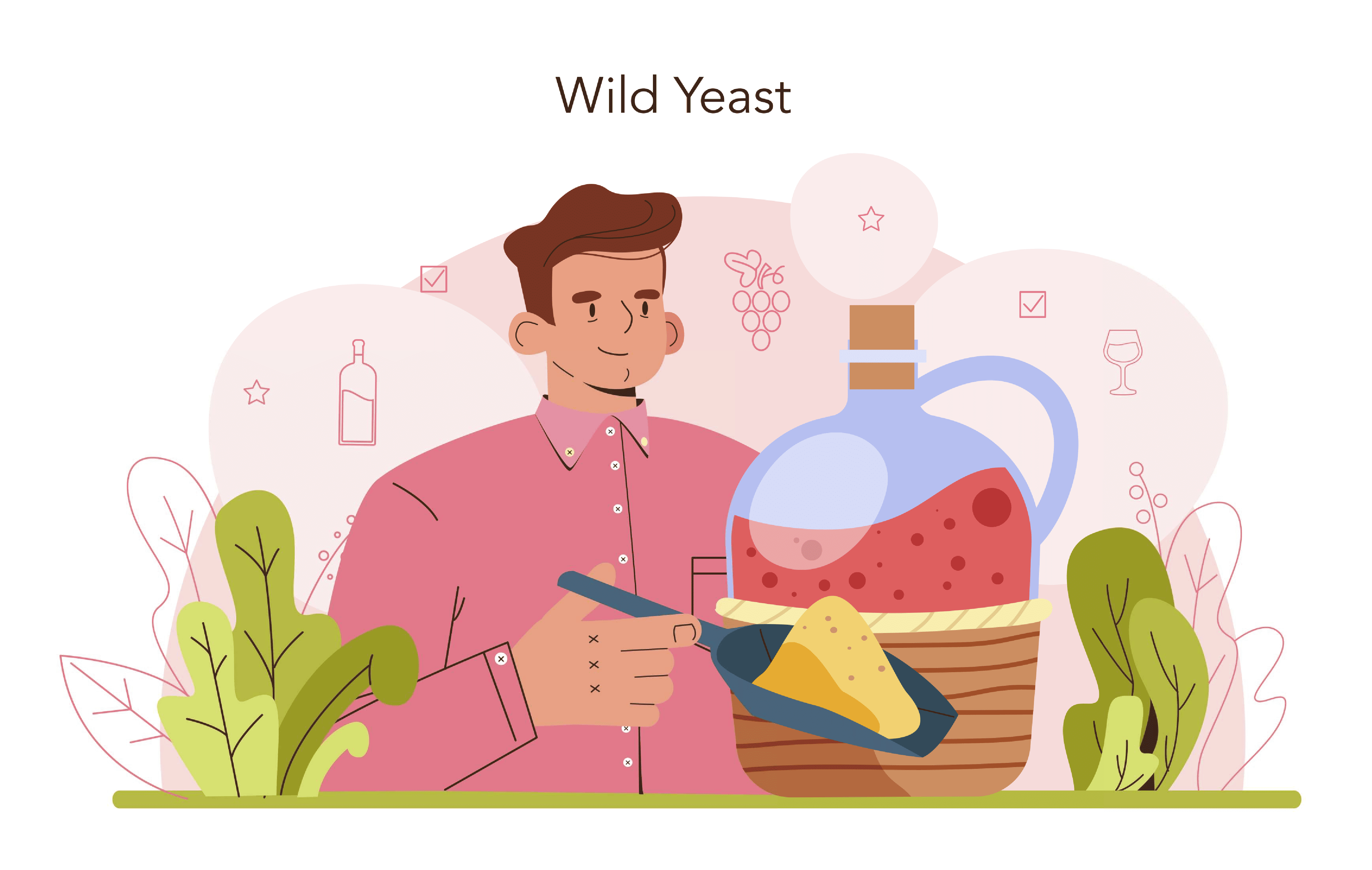 Choose Your Wine & Add Yeast
